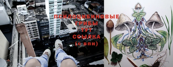 дурь Баксан