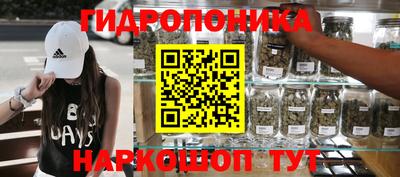 mdpv Гатчина