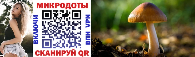 Галлюциногенные грибы Cubensis Ульяновск