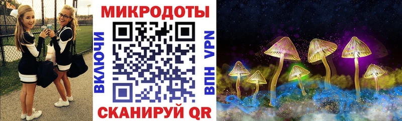 сколько стоит  Ульяновск  Псилоцибиновые грибы MAGIC MUSHROOMS 