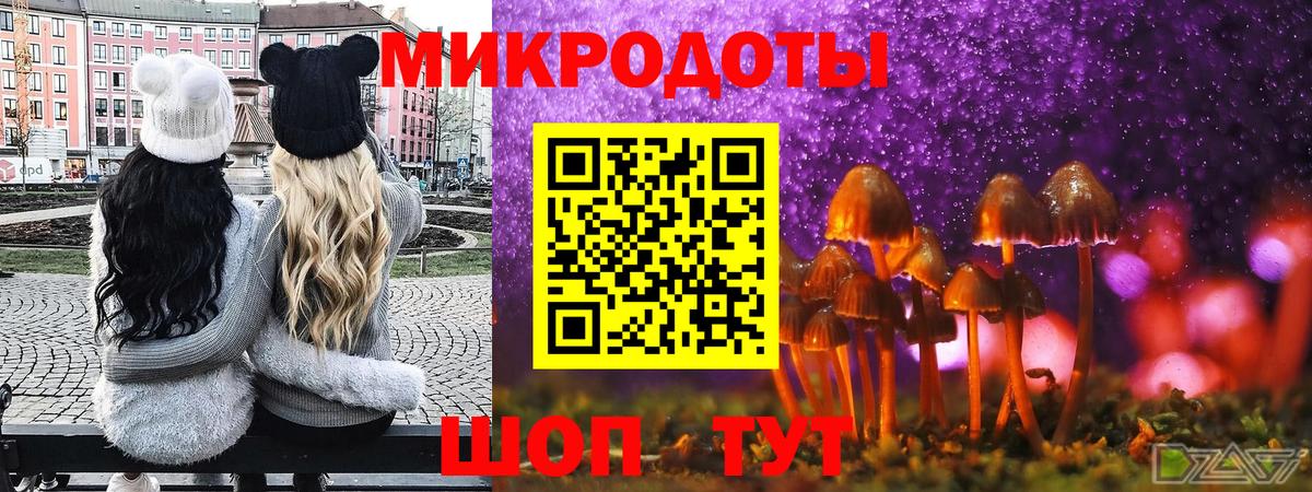 Псилоцибиновые грибы MAGIC MUSHROOMS  Вход с VPN  Ульяновск 