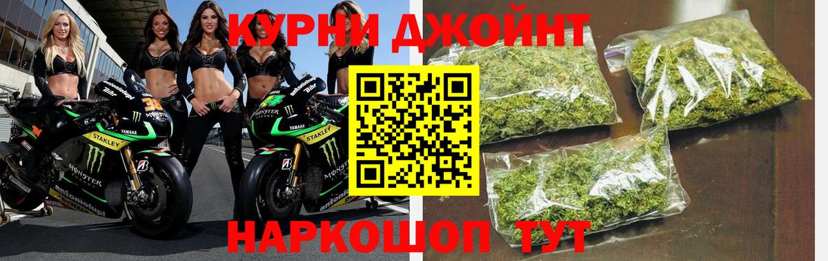 Бошки Шишки планчик Ульяновск